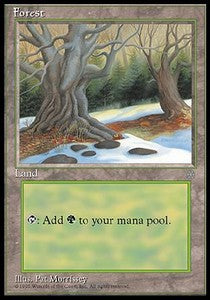 Forest (V.3)