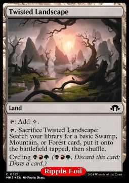 Twisted Landscape