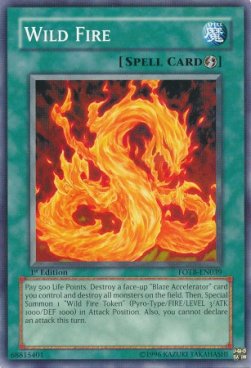 Wild Fire - Force of the Breaker (Common) [FOTB-039]