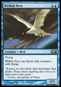 Welkin Tern - Magic 2013 (Common) [79]