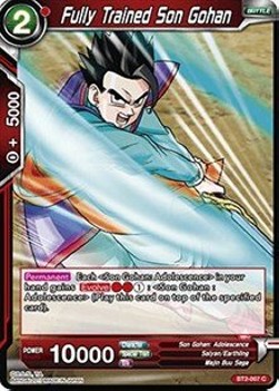 Fully Trained Son Gohan - Union Force (Common) [007]