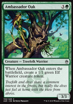 Ambassador Oak - Masters 25 (Common) [158]