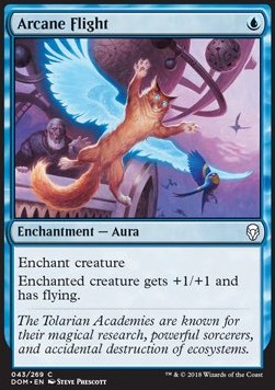 Arcane Flight - Dominaria (Common) [43]