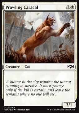Prowling Caracal - Ravnica Allegiance (Common) [17]