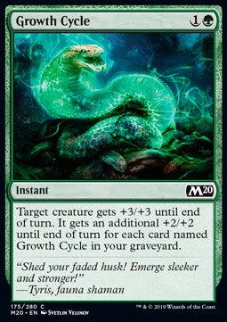 Growth Cycle - Core 2020 (Common) [M20-175]