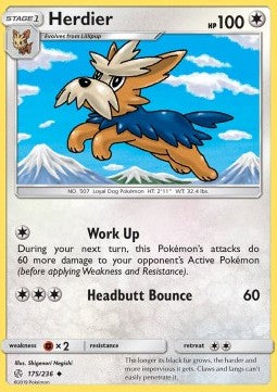 Herdier - Cosmic Eclipse (Uncommon) [175]