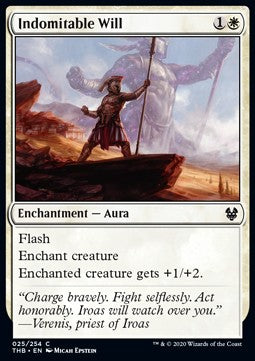 Indomitable Will - Theros Beyond Death (Common) [25]