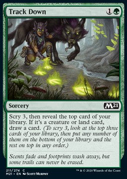 Track Down - Core 2021 (Common) [211]