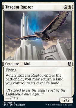 Tazeem Raptor - Zendikar Rising (Common) [43]