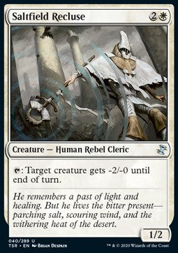 Saltfield Recluse - Time Spiral Remastered (Uncommon) [40]