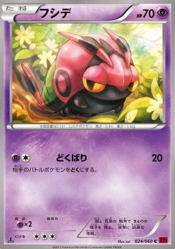 Venipede - Collection Y (Common) [XY1y-024]