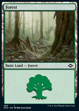 Forest (V.1) - Modern Horizons 2: Extras (Land) [XMH2-489]
