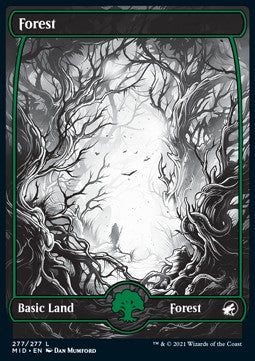 Forest (V.2)