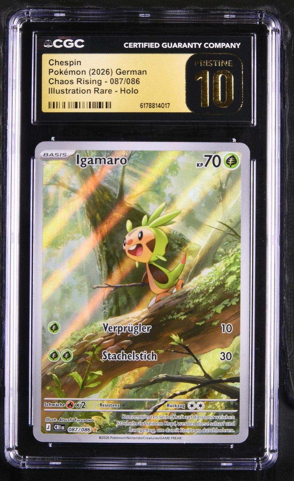 Pokémon Chespin CGC Pristine 10 Chaos Rising DE