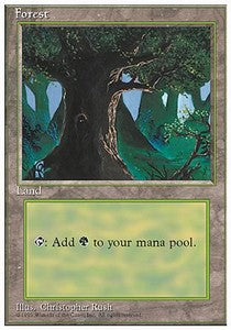 Forest (V.2)