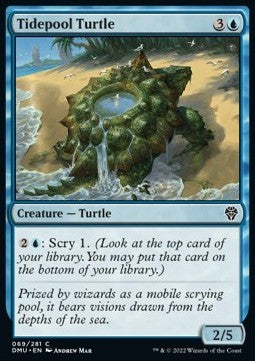 Tidepool Turtle - Dominaria United (Common) [69]