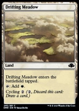 Drifting Meadow - Dominaria Remastered (Common) [245]