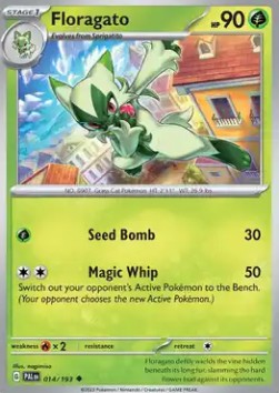 Floragato - Paldea Evolved (Uncommon) [014]