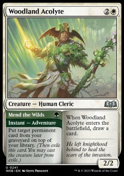 Woodland Acolyte // Mend the Wilds - Wilds of Eldraine (Uncommon) [241]
