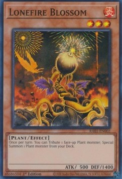 Lonefire Blossom (V.1 - Super Rare) - 25th Anniversary Rarity Collection (Super Rare) [002]