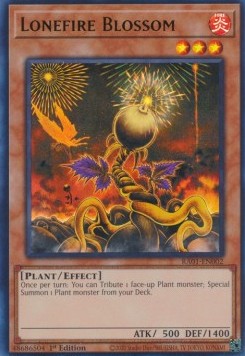 Lonefire Blossom (V.2 - Ultra Rare) - 25th Anniversary Rarity Collection (Ultra Rare) [002]