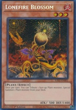 Lonefire Blossom (V.3 - Secret Rare) - 25th Anniversary Rarity Collection (Secret Rare) [002]