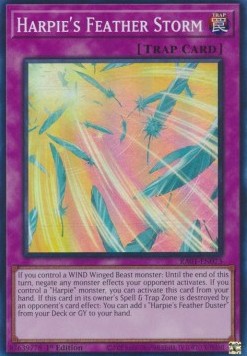 Harpie's Feather Storm (V.1 - Super Rare) - 25th Anniversary Rarity Collection (Super Rare) [073]