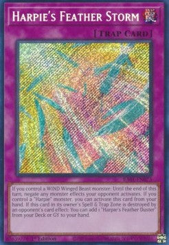 Harpie's Feather Storm (V.3 - Secret Rare) - 25th Anniversary Rarity Collection (Secret Rare) [073]
