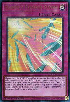 Harpie's Feather Storm (V.7 - Ultimate Rare) - 25th Anniversary Rarity Collection (Ultimate Rare) [073]