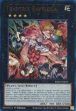 Traptrix Rafflesia (V.2 - Ultra Rare) - 25th Anniversary Rarity Collection II (Ultra Rare) [034]
