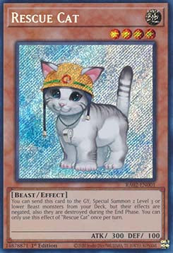 Rescue Cat (V.5 - Secret Rare) - 25th Anniversary Rarity Collection II (Secret Rare) [001]
