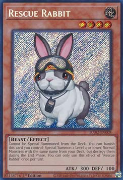 Rescue Rabbit (V.3 - Secret Rare) - 25th Anniversary Rarity Collection II (Secret Rare) [008]