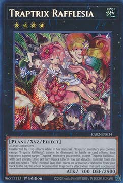 Traptrix Rafflesia (V.3 - Secret Rare) - 25th Anniversary Rarity Collection II (Secret Rare) [034]