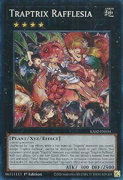Traptrix Rafflesia (V.6 - Collectors Rare) - 25th Anniversary Rarity Collection II (Collectors Rare) [034]