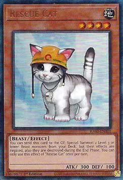 Rescue Cat (V.13 - Ultimate Rare) - 25th Anniversary Rarity Collection II (Ultimate Rare) [001]