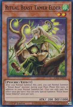 Ritual Beast Tamer Elder (V.1 - Super Rare) - Quarter Century Bonanza (Super Rare) [012]