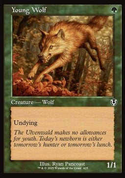 Young Wolf (V.2) - Innistrad Remastered: Extras (Common) [XINR-425]