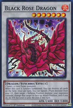 Black Rose Dragon (V.1 - Super Rare) - Quarter Century Stampede (Super Rare) [RA04-057]