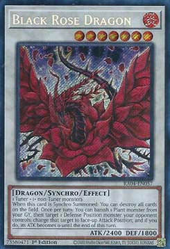 Black Rose Dragon (V.3 - Secret Rare) - Quarter Century Stampede (Secret Rare) [RA04-057]