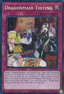 Dragonmaid Tidying (V.3 - Secret Rare) - Quarter Century Stampede (Secret Rare) [RA04-102]