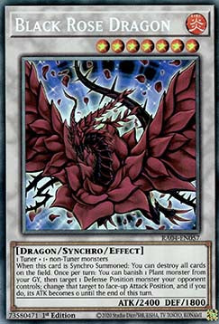Black Rose Dragon (V.6 - Collectors Rare) - Quarter Century Stampede (Collectors Rare) [RA04-057]