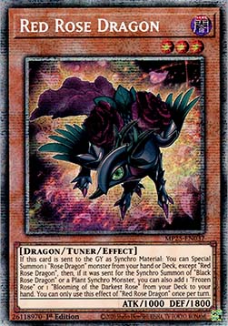 Red Rose Dragon - 2025 Mega-Pack Tin (Starlight Rare) [MP25-037]