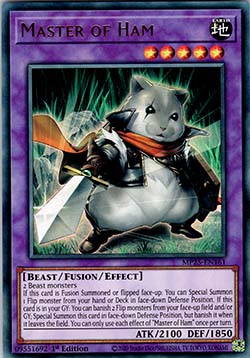 Master of Ham - 2025 Mega-Pack Tin (Ultra Rare) [MP25-161]