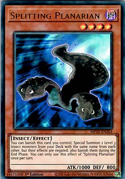 Splitting Planarian - 2025 Mega-Pack Tin (Ultra Rare) [MP25-263]