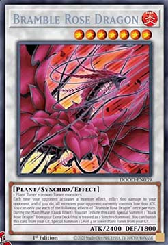 Bramble Rose Dragon (V.1 - Secret Rare) - Doom of Dimensions (Secret Rare) [DOOD-039]