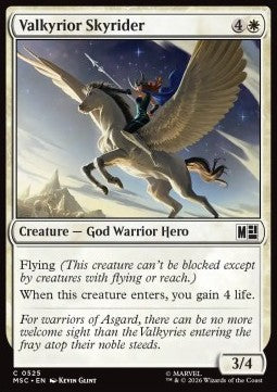 Valkyrior Skyrider