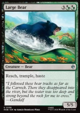 Large Bear