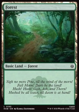 Forest (V.1)