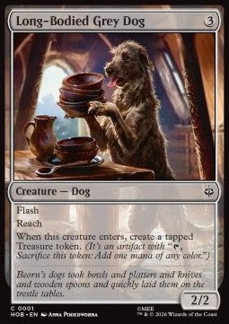 Long-Bodied Grey Dog
