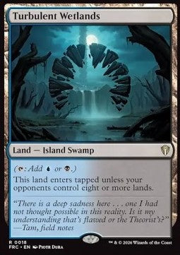 Turbulent Wetlands